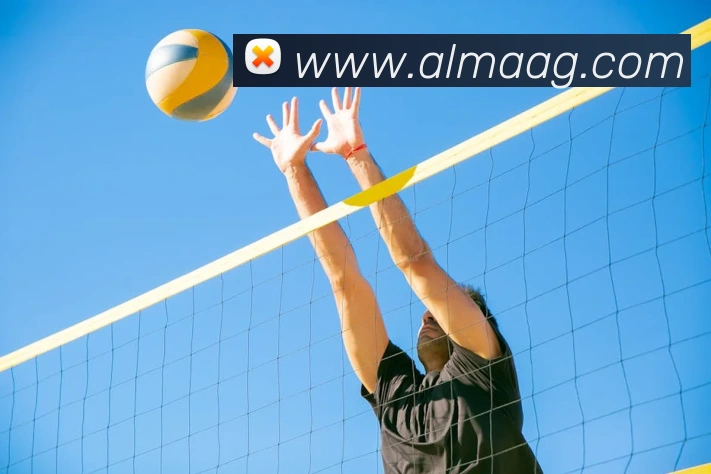 ag百家乐平台生态图